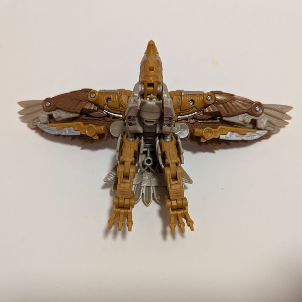 Lekead Transformers Rise Of The Beasts Deluxe Airazor Image  (10 of 13)